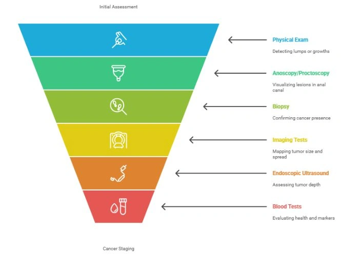 Diagnosis of Anal Cancer